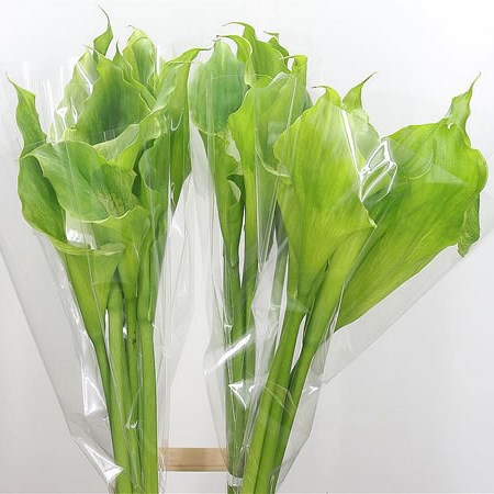 Calla green deals