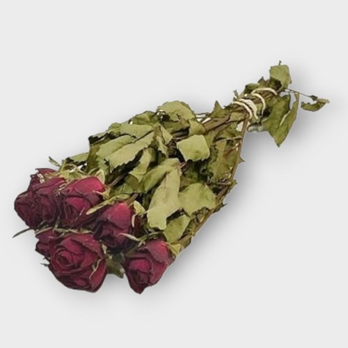 Dried Red Roses