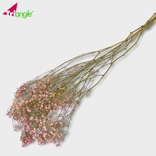 Gypsophila Dyed Pink (Dried) 70cm | Wholesale Dried Flowers UK ...