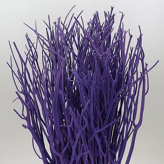 Mitsumata Dyed Lavender 110cm Wholesale Dutch Flowers And Florist