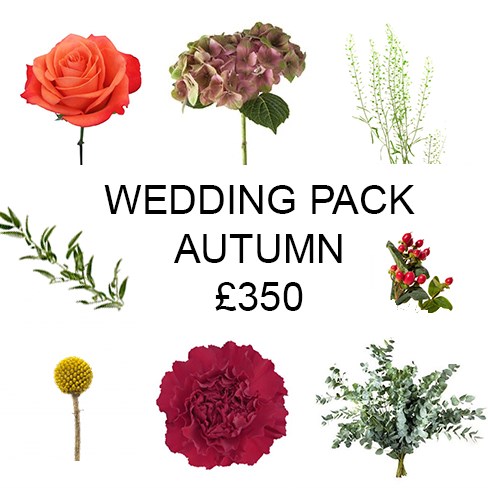 All Inclusive Wedding Flower Boxes | Wholesale Dutch ...