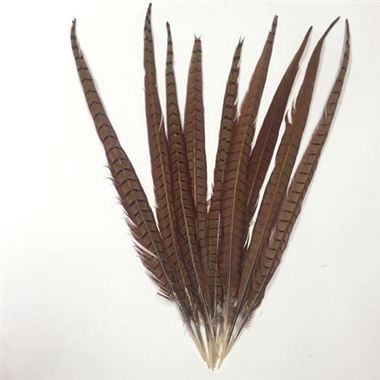 wholesale feathers uk