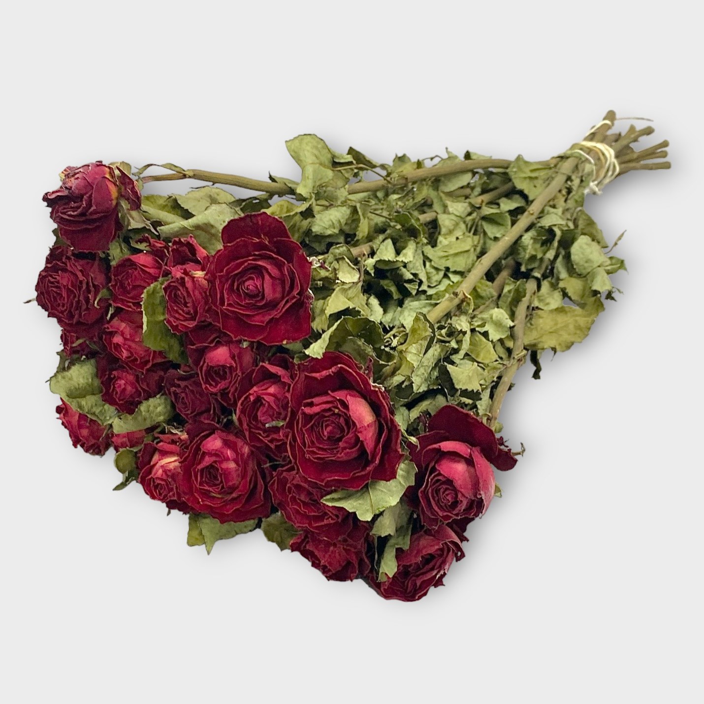 Everlasting Dried Flower Bunches & Bouquets | Red Roses (Dried) 60cm